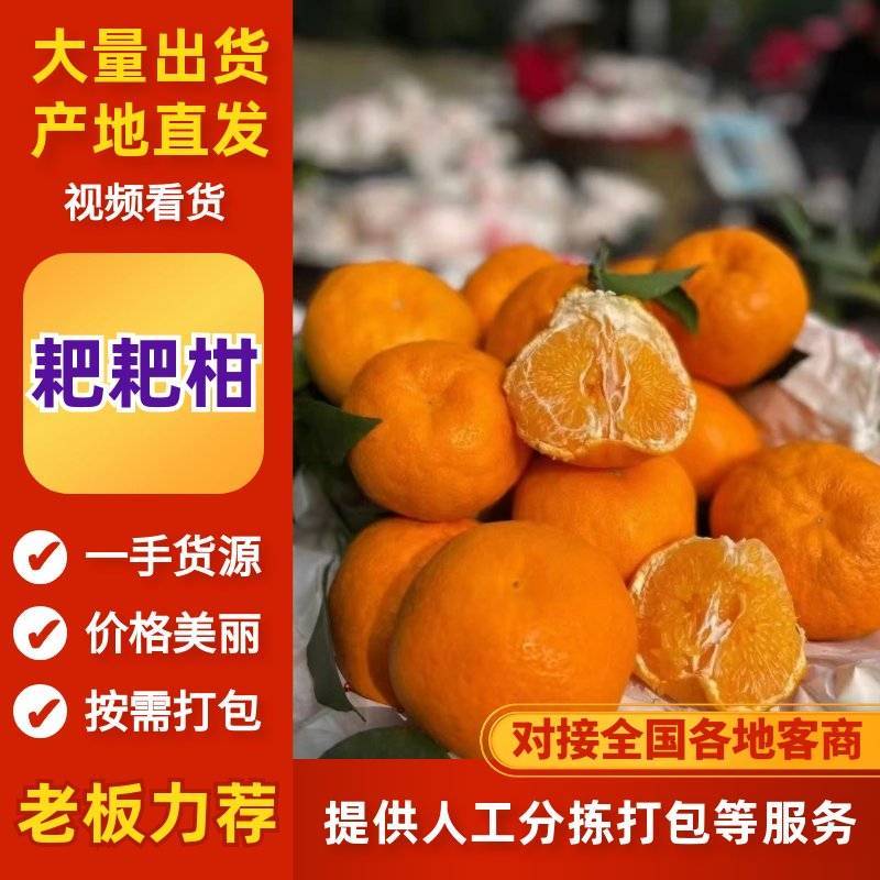 (推荐)春见耙耙柑，纯甜无渣，柑橘皇后，产地直发