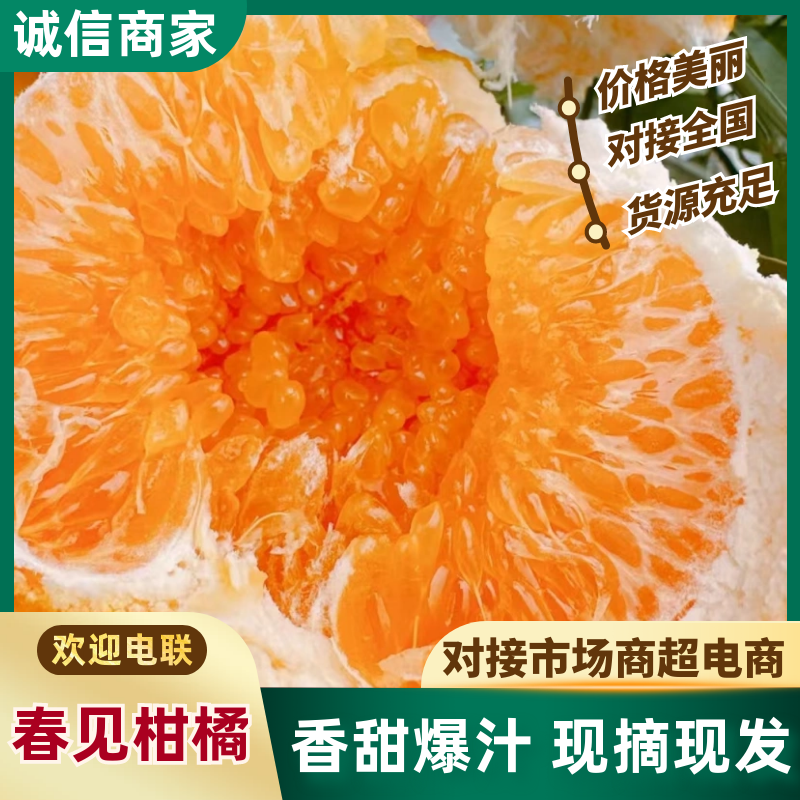 (推荐)春见耙耙柑，纯甜无渣，柑橘皇后，产地直发