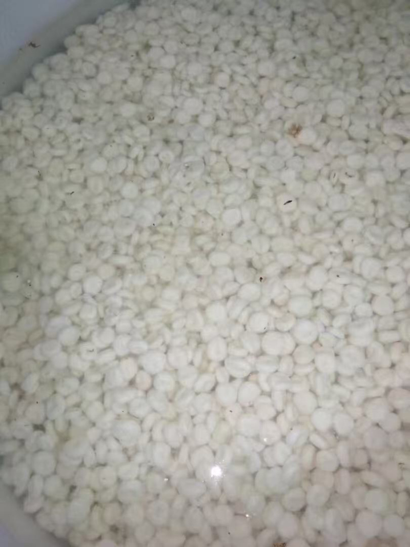 马蹄品质保证服务周到大量有货一手货源价格实惠