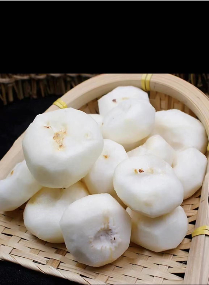 马蹄品质保证服务周到大量有货一手货源价格实惠