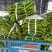 推荐山东鲜辣椒螺丝椒产地一手货源量大从优价格实惠