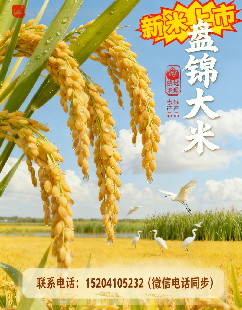 盘锦蟹田大米3.5元一斤