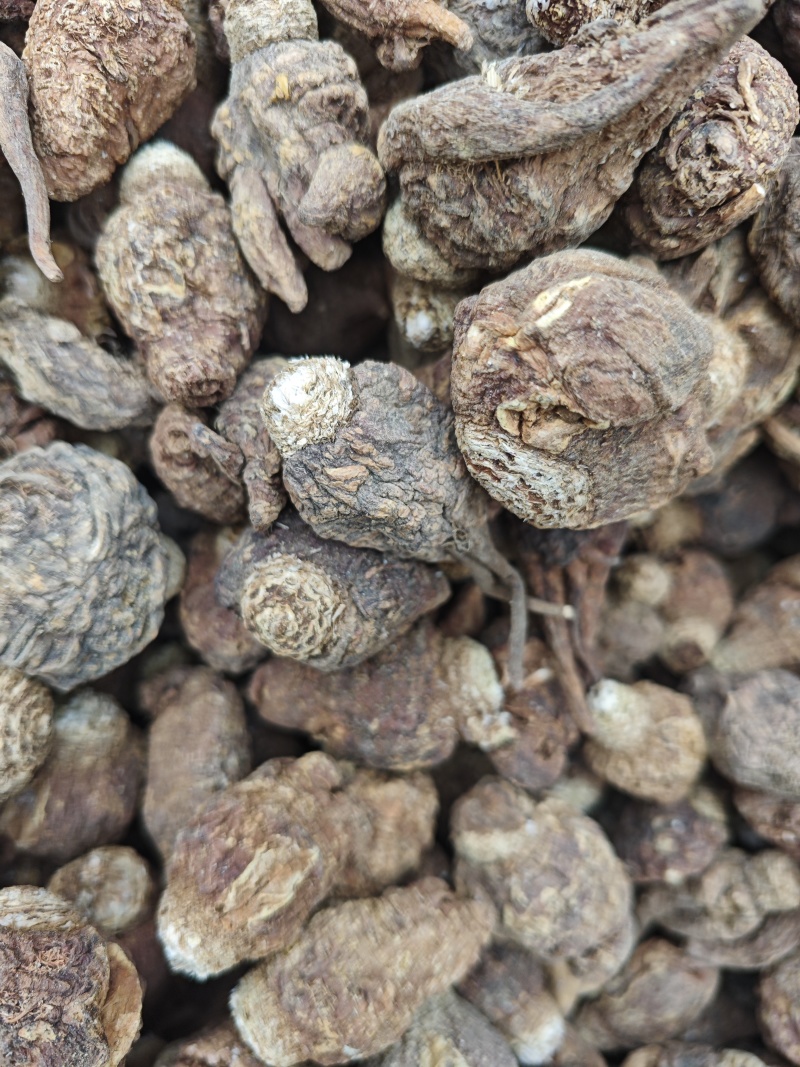 玛卡（黄）