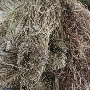 苎麻，花生，芝麻，黄豆，棉花