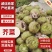 芥菜，量大，可提供散装，装袋，水洗供应电商和咸菜厂