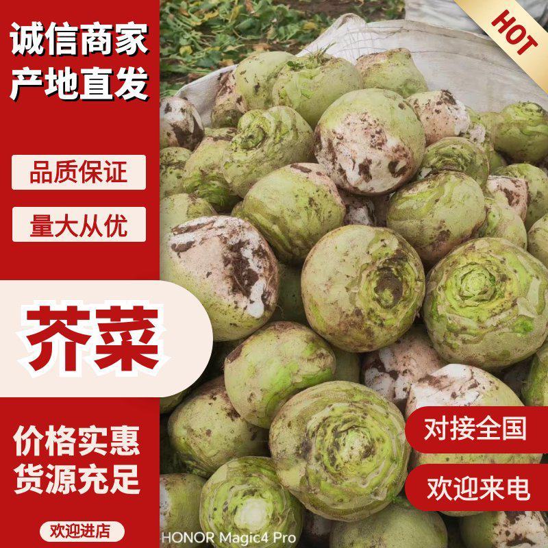 芥菜，量大，可提供散装，装袋，水洗供应电商和咸菜厂