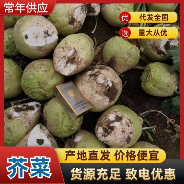 水洗芥菜。各大市场超市供应。提供各种规格。