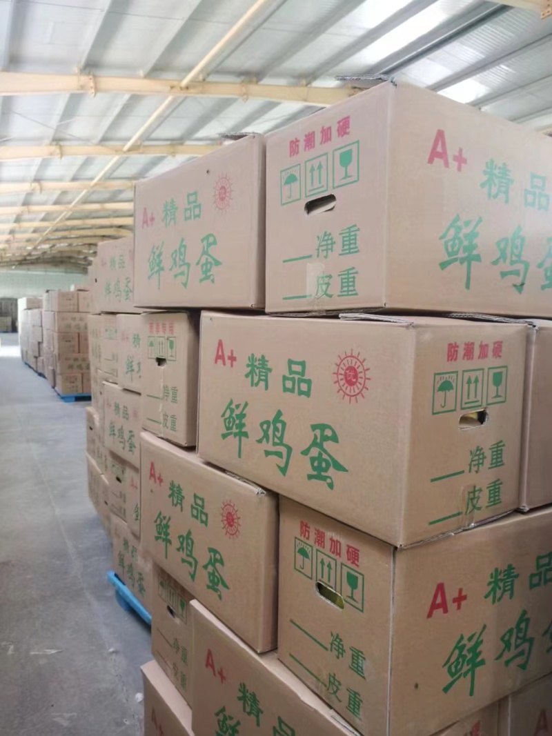 新鲜鸡蛋批发红壳蛋粉壳蛋土鸡蛋全国送货破损包赔量大
