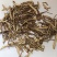 当归谷节统货批发支持代发1000克当归