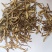 当归谷节统货批发支持代发1000克当归