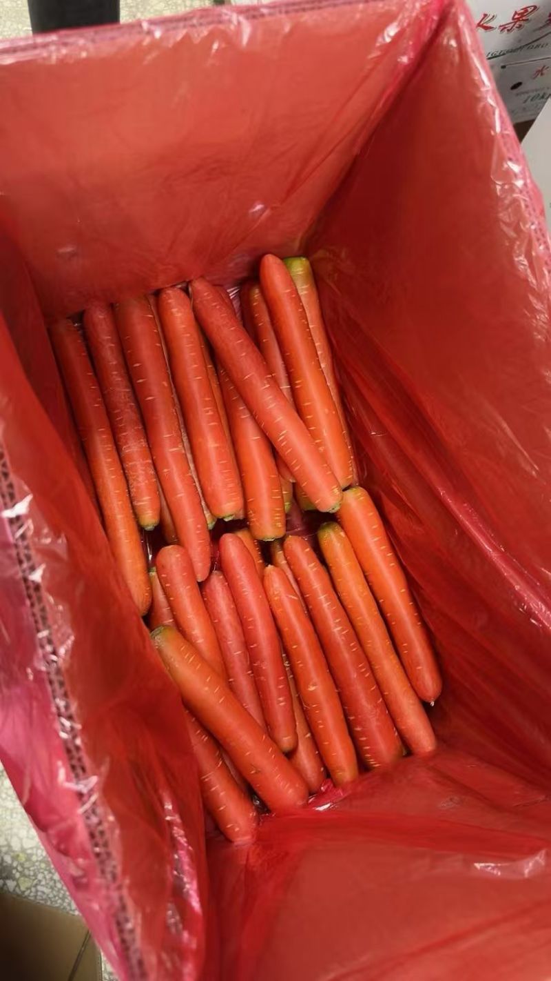 红萝卜产地直发，对接各各地区，实力代办
