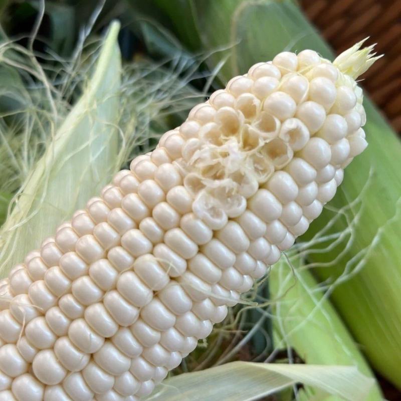 生熟皆宜冰激凌牛奶玉米