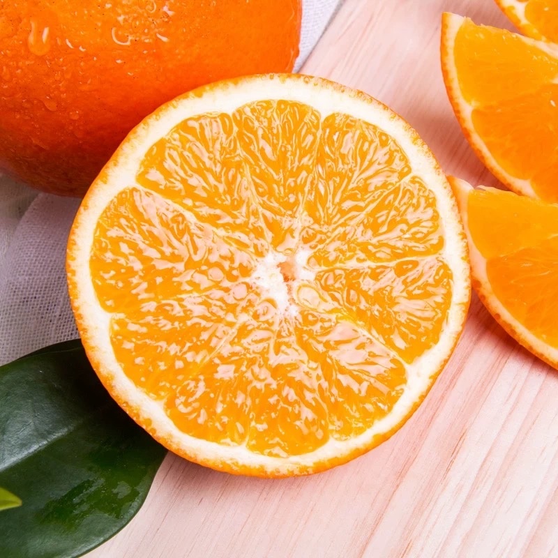 麻阳冰糖橙原产地直发现摘现发树上熟