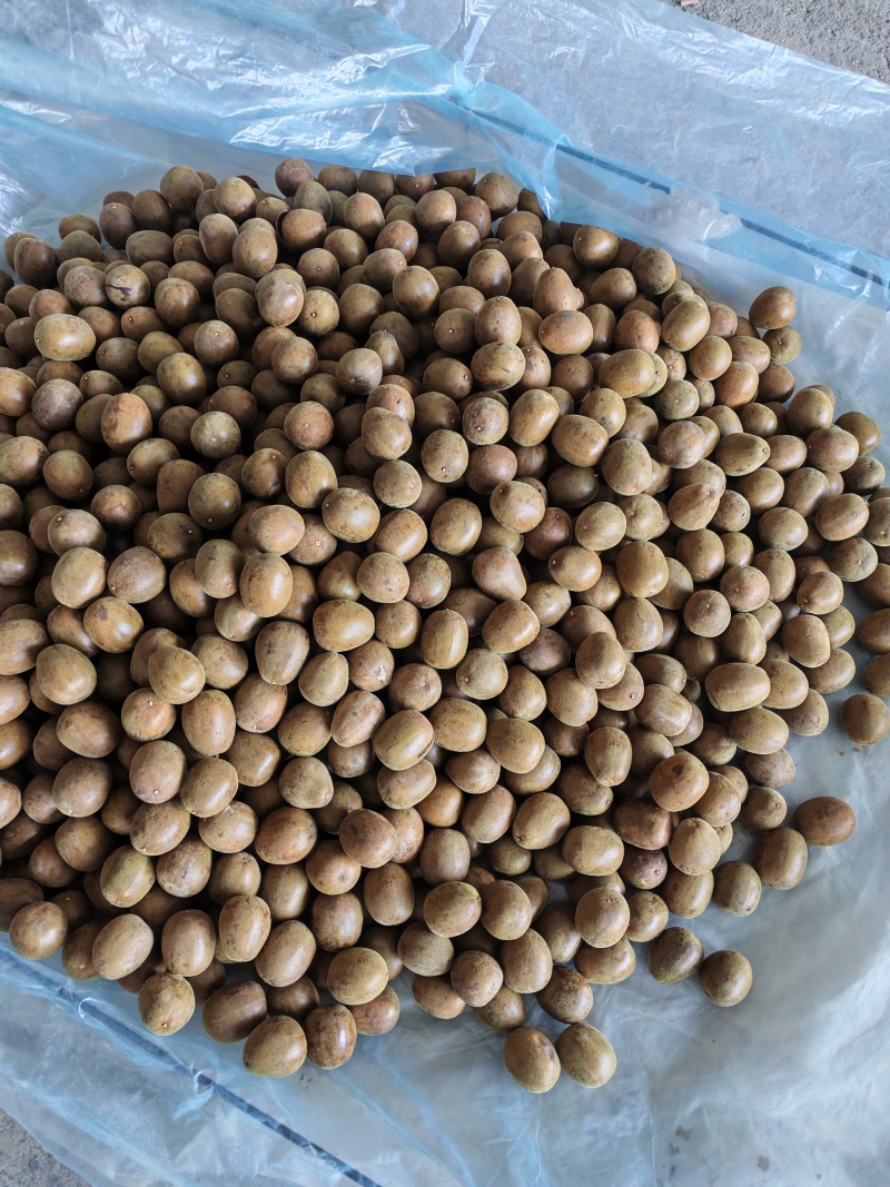 广西罗汉果原产地货源充足罗汉果干果罗汉果花茶批发