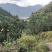 高山富硒沙田柚，多汁糖分高，产地直销，价格实惠