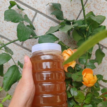 土蜂蜜