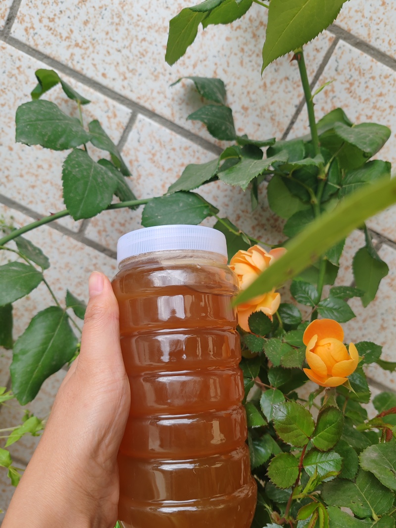 土蜂蜜