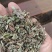 药用蒲公英规格齐全价格便宜有各种档位产品欢迎咨询