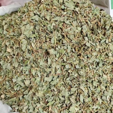 安徽亳州广金钱草药材售卖各品种药材欢迎咨询下单