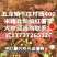 新鲜红薯
