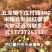 新鲜红薯