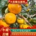 阳丰脆柿，巧克力柿子，对接各种商超，质量保证，欢迎合作