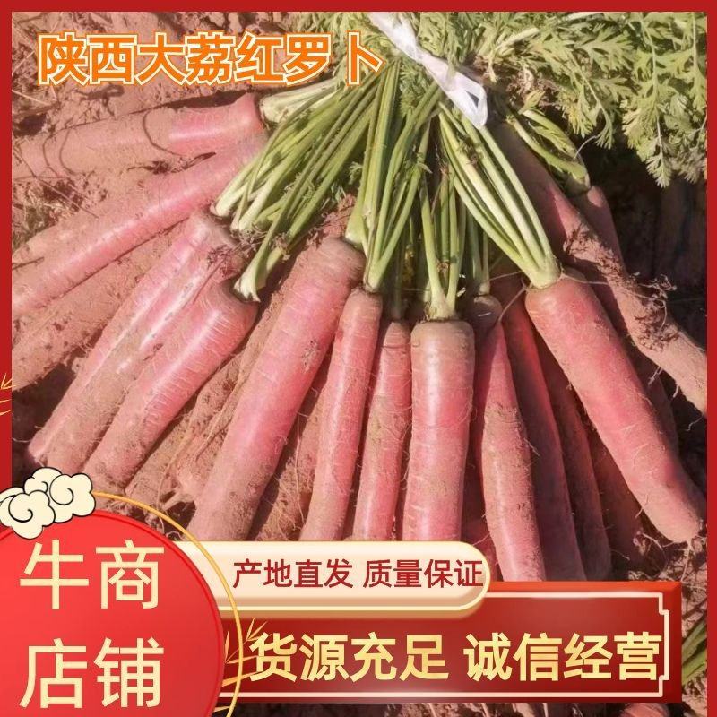 红萝卜产地直发，对接各各地区，实力代办