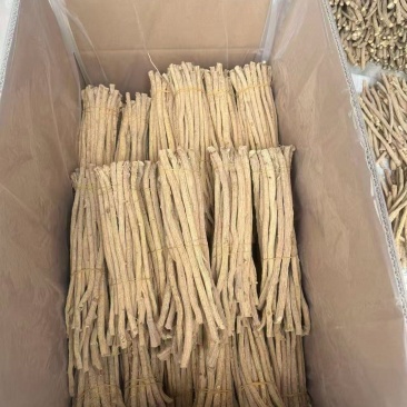 条防风，甜的