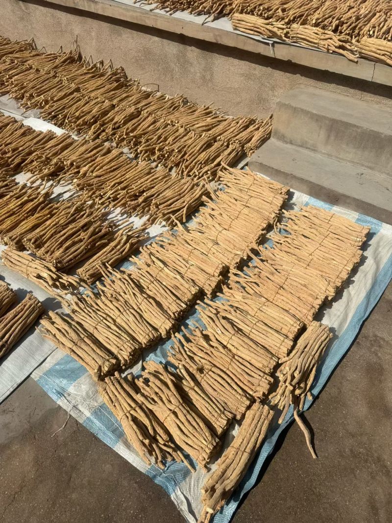 条防风，甜的