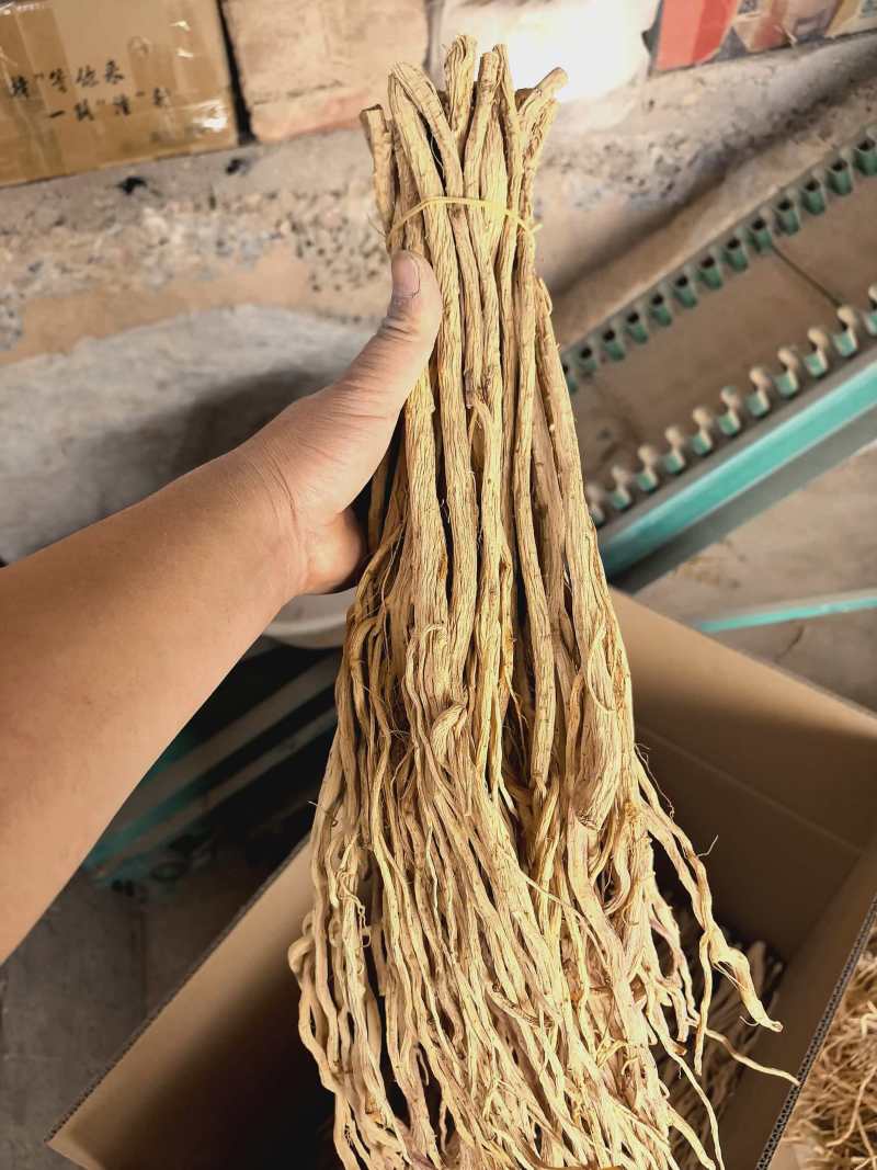 条防风，甜的