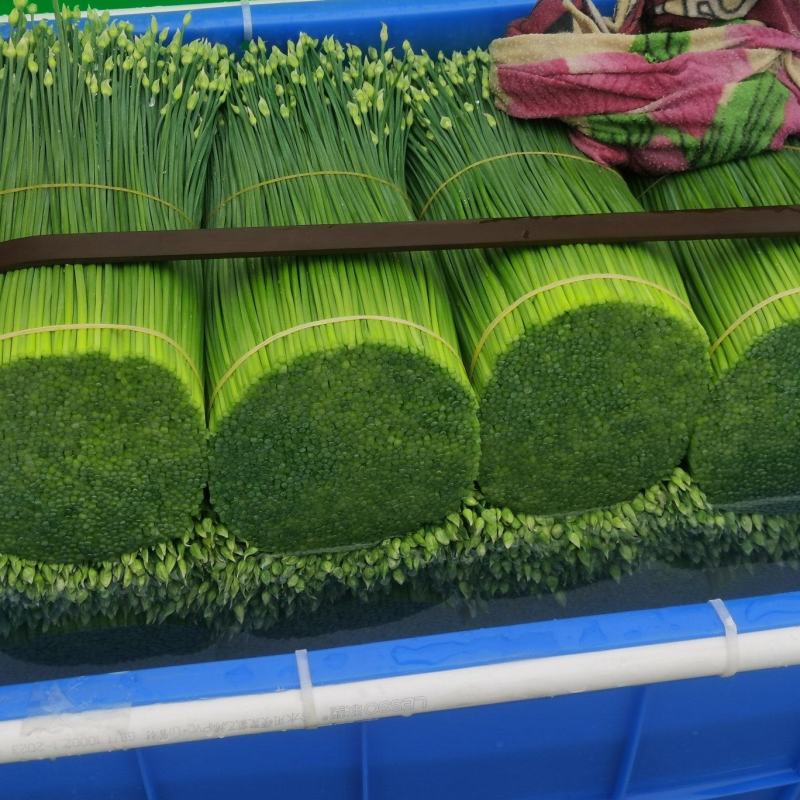 威心