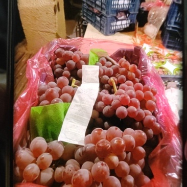 红提，龙眼葡萄