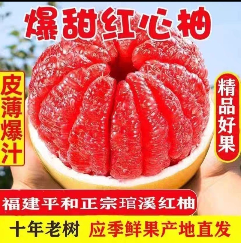 【精品】正宗福建平和琯溪红心蜜柚子薄皮超甜当季孕妇