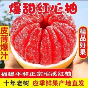 【精品】正宗福建平和琯溪红心蜜柚子薄皮超甜当季孕妇