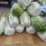 大白菜