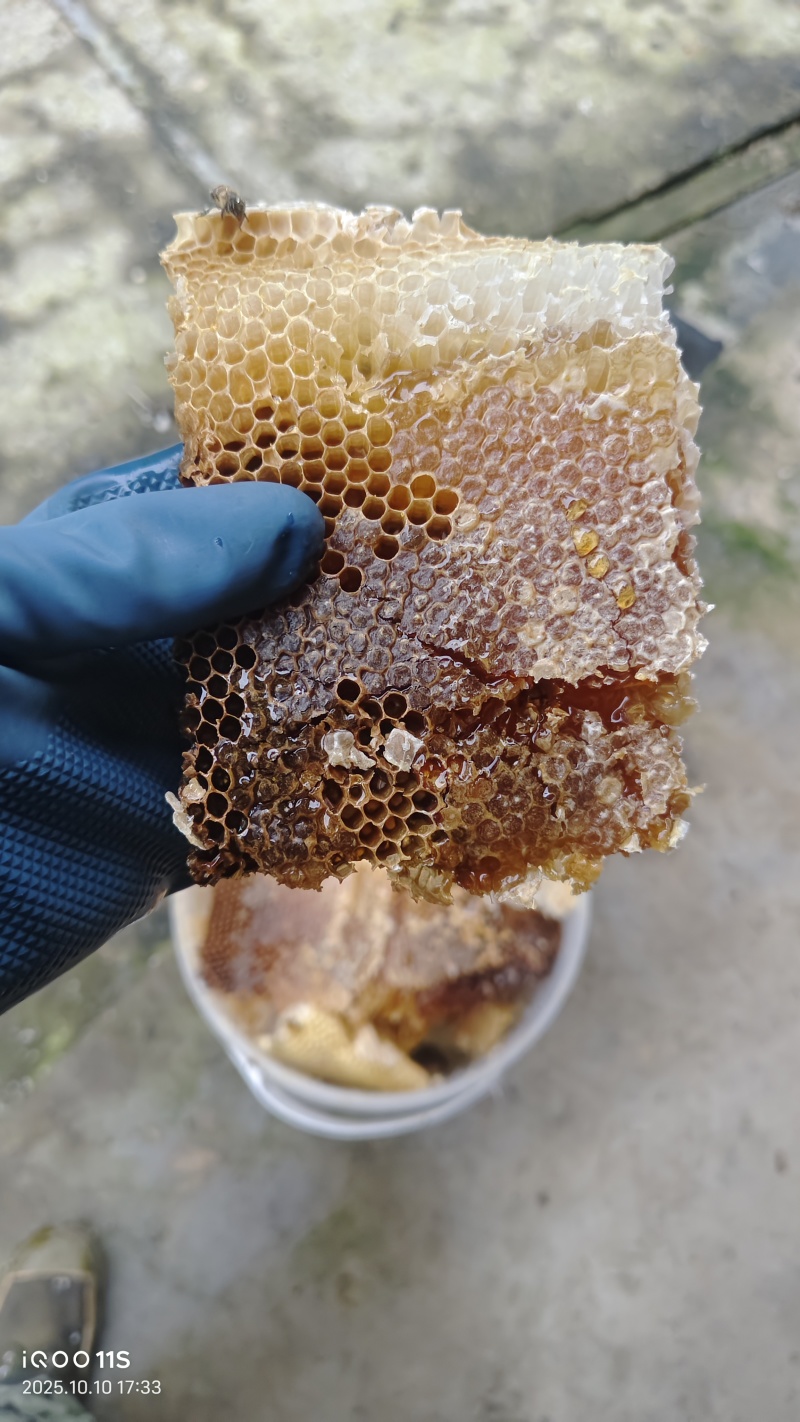 蜂蜜高山土蜂蜜量大价优品质保障口感好量大价优欢迎电联