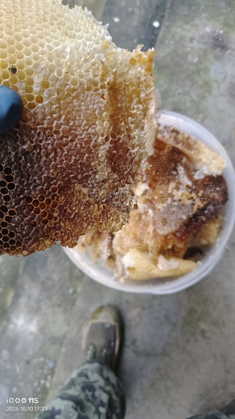 蜂蜜高山土蜂蜜量大价优品质保障口感好量大价优欢迎电联