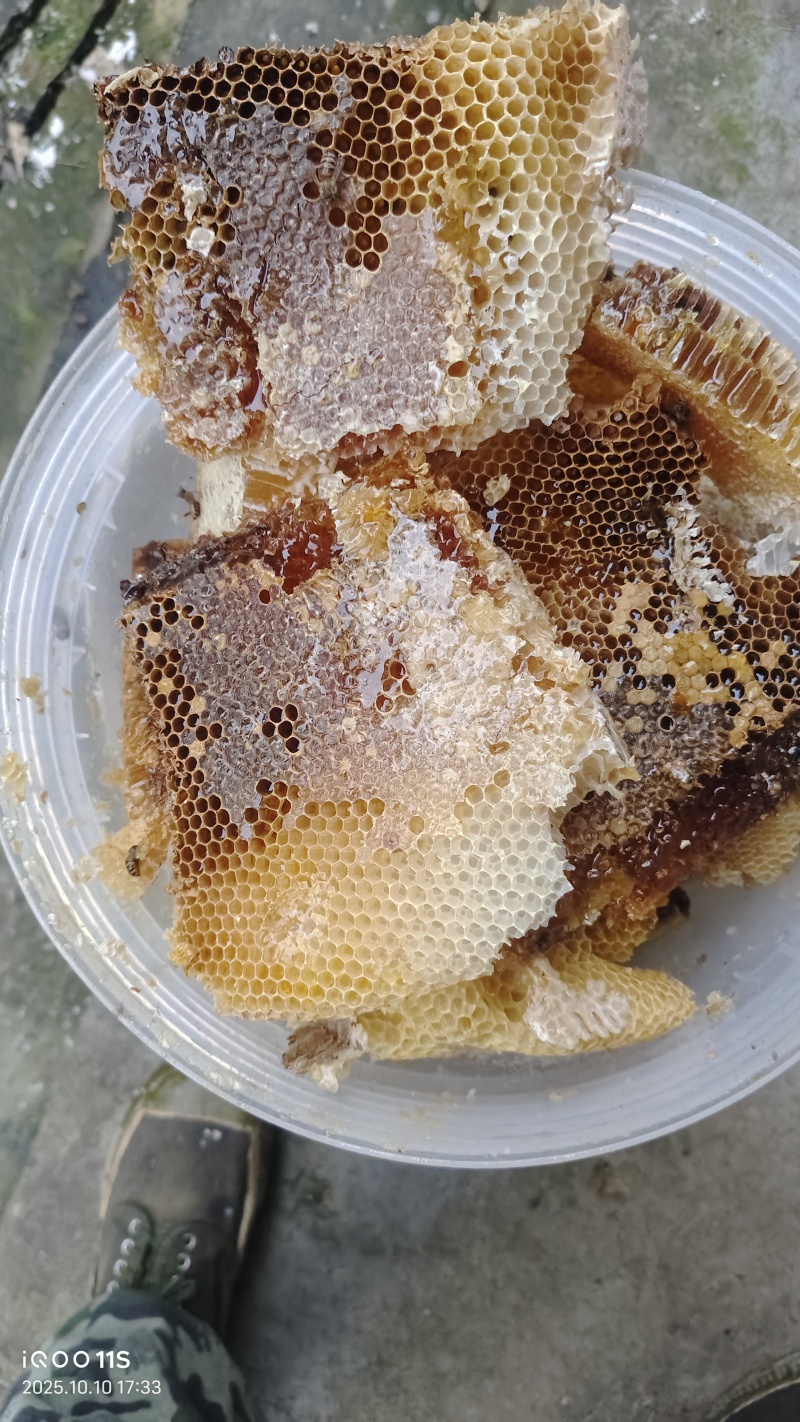 蜂蜜高山土蜂蜜量大价优品质保障口感好量大价优欢迎电联