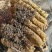 蜂蜜高山土蜂蜜量大价优品质保障口感好量大价优欢迎电联