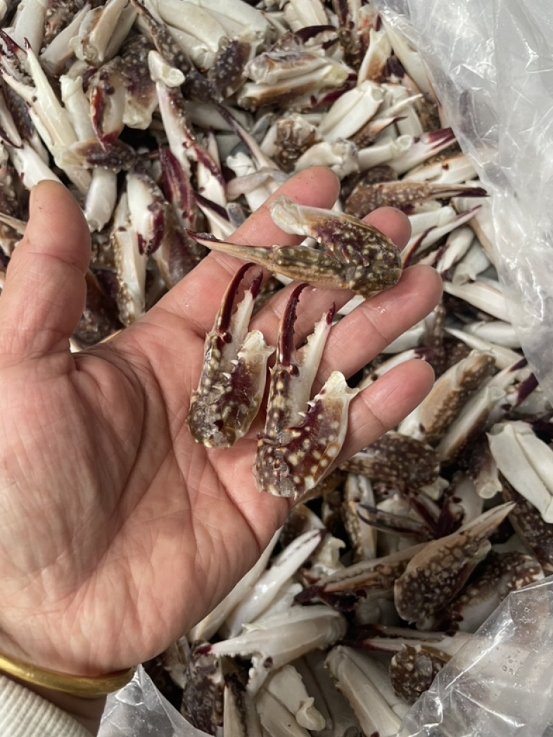 小号梭子蟹钳大中小三个规格都有货