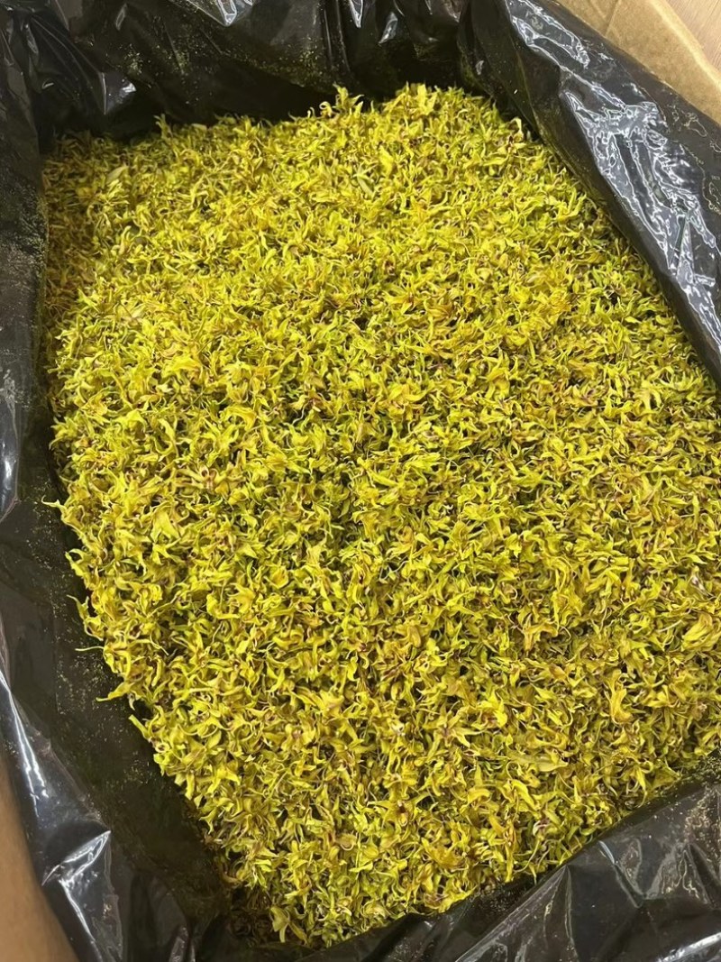 云南铁皮石斛花对接全国市场量大从优欢迎采购