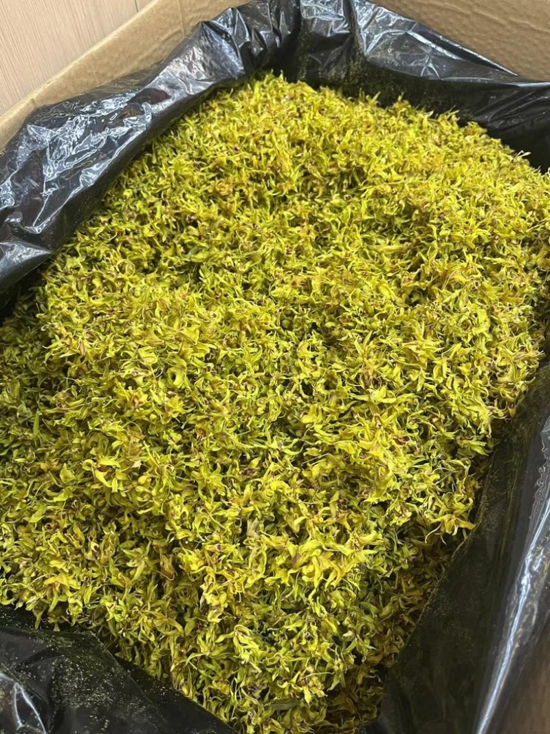 云南铁皮石斛花对接全国市场量大从优欢迎采购
