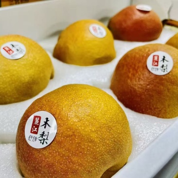丽江精品雪木梨，一手货源，全国发货，可对接电商商超，诚信经营