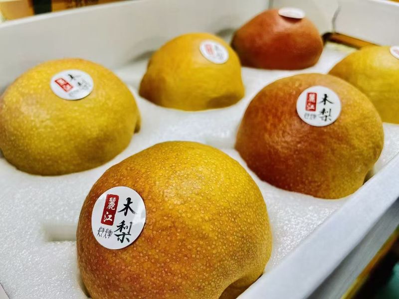 丽江精品雪木梨，一手货源，全国发货，可对接电商商超，诚信经营