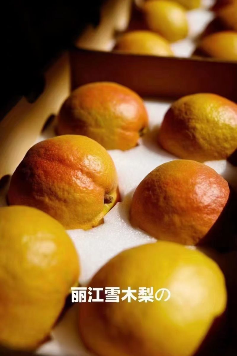 丽江精品雪木梨，一手货源，全国发货，可对接电商商超，诚信经营