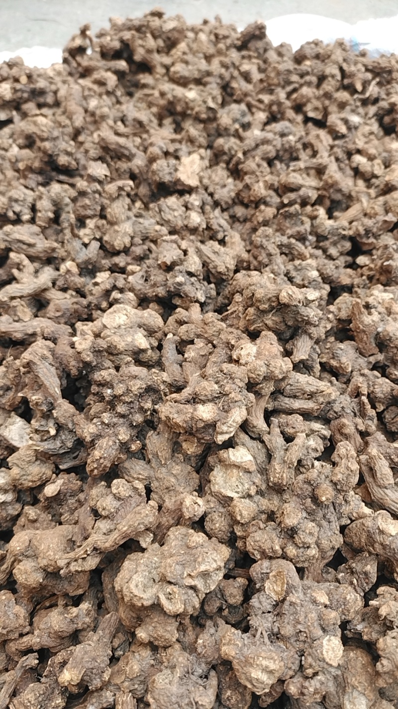 苍术新货苍术干货统货个子仓术南苍术茅苍术