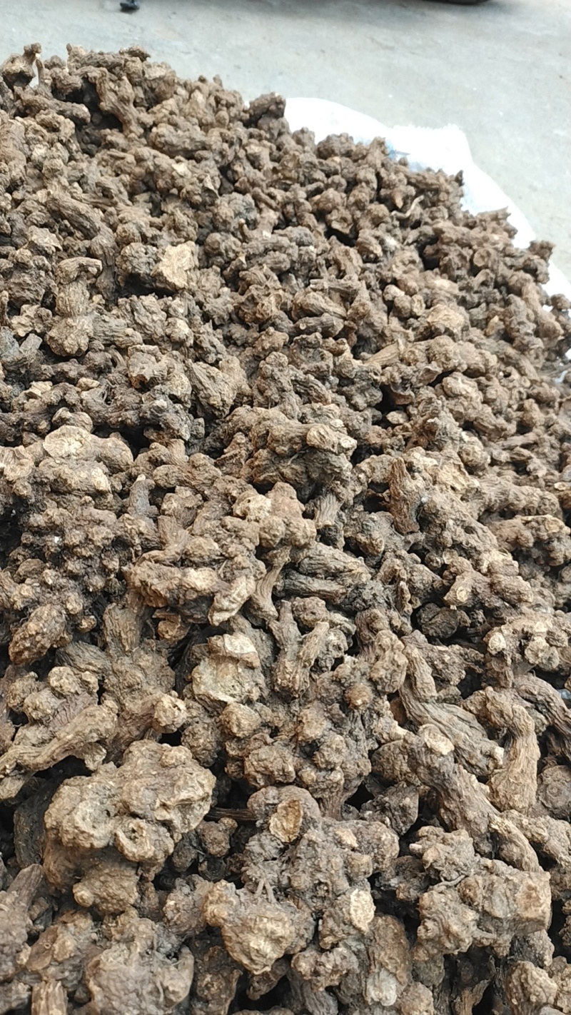 苍术新货苍术干货统货个子仓术南苍术茅苍术