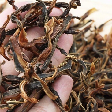 江西特产豆角干新长豇豆干豆角特级农家自制脱水蔬菜豆角干