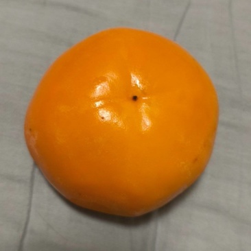 陕西脆柿子
