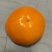 陕西脆柿子